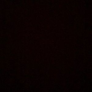 Meet your Posher, Savannah